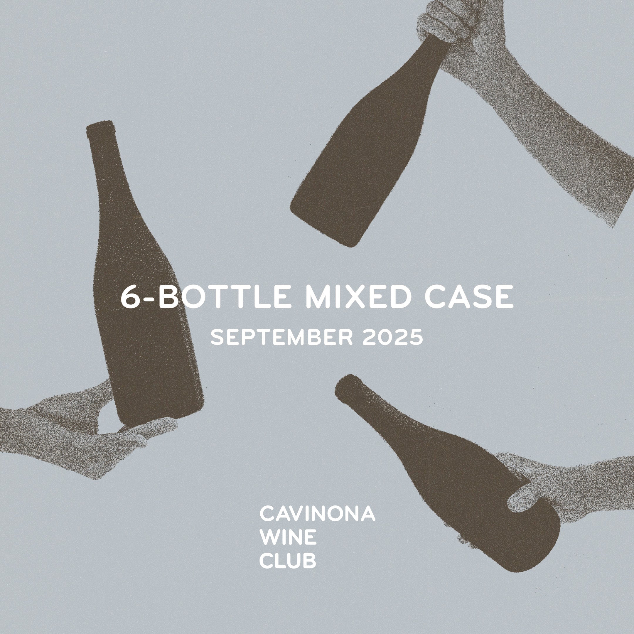 6-Bottle Mixed Case Wine Description - September 2025