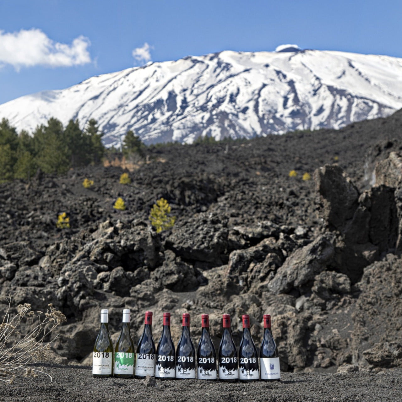 Etna: The Volcano the Wine World Loves