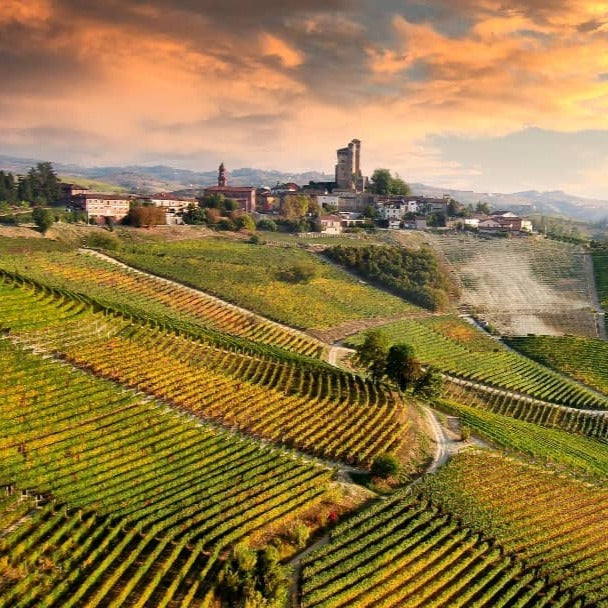 Exploring Nebbiolo Through Four Historic Appellations