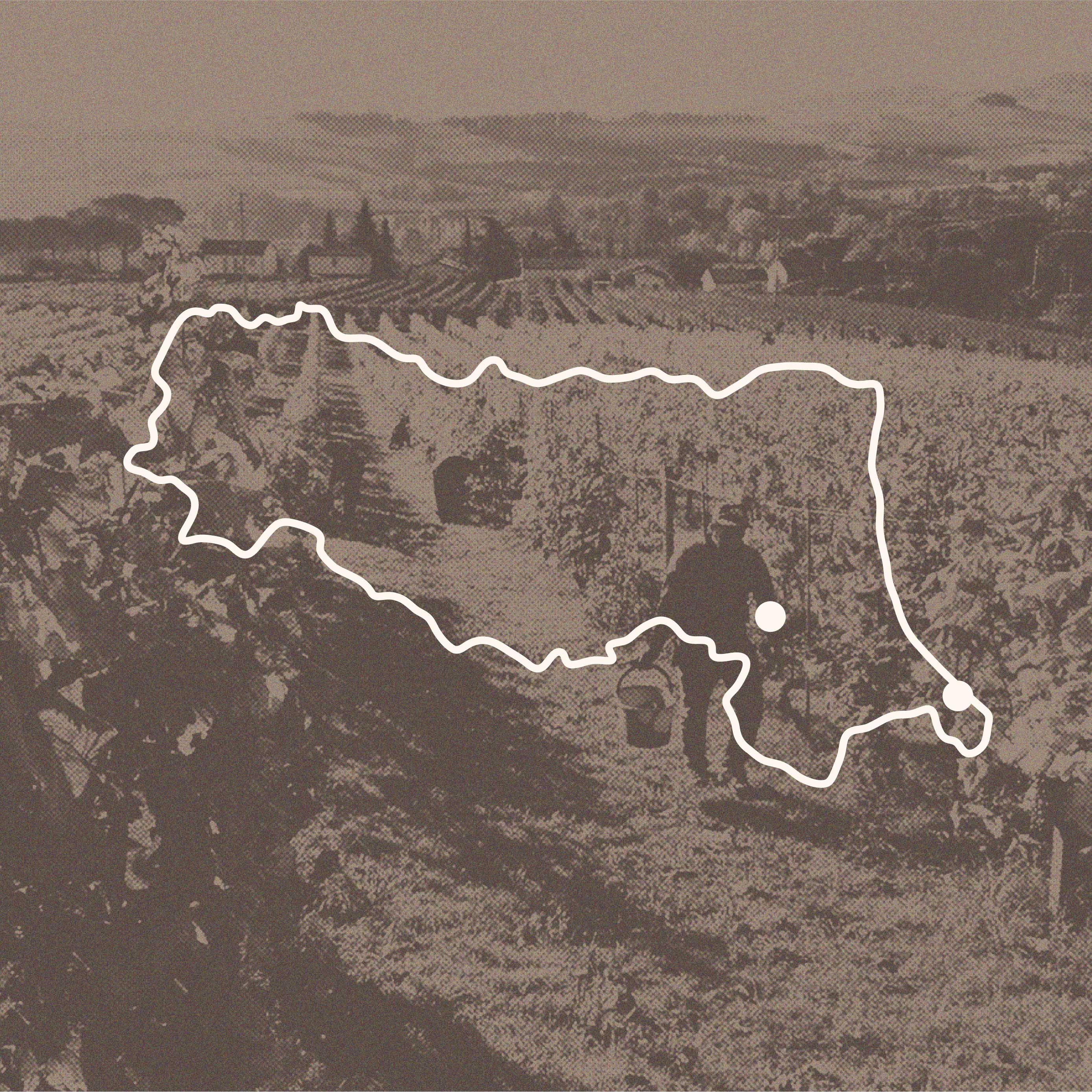 Ticket for Il Gusto Del Vino: Emilia-Romagna with San Patrignano