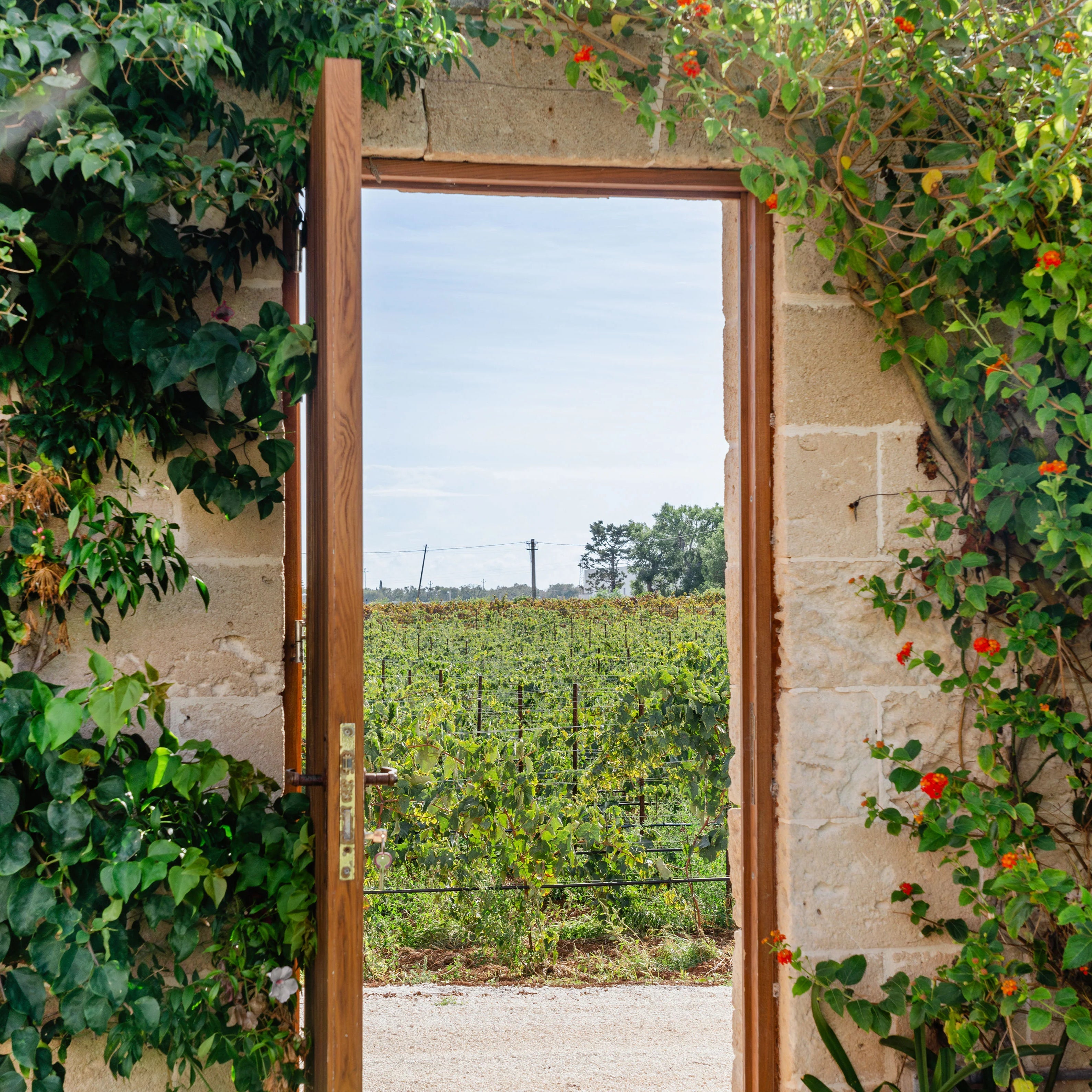 A Guide to Puglia: Wine, Food, and Family