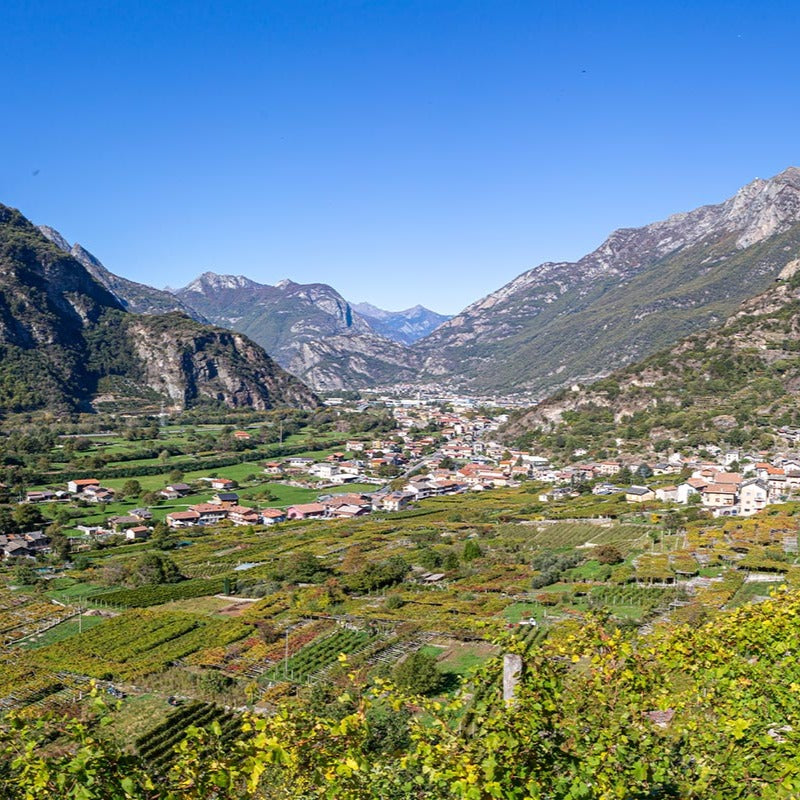 Alto Piemonte: The New Frontier of Nebbiolo