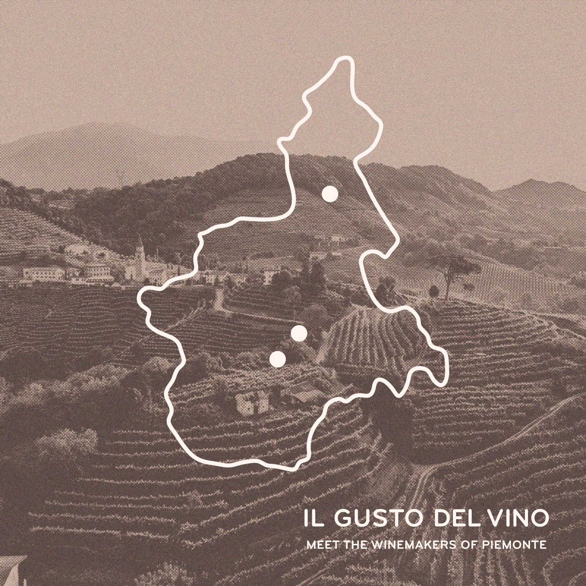 Il Gusto del Vino: Meet the Winemakers of Piemonte