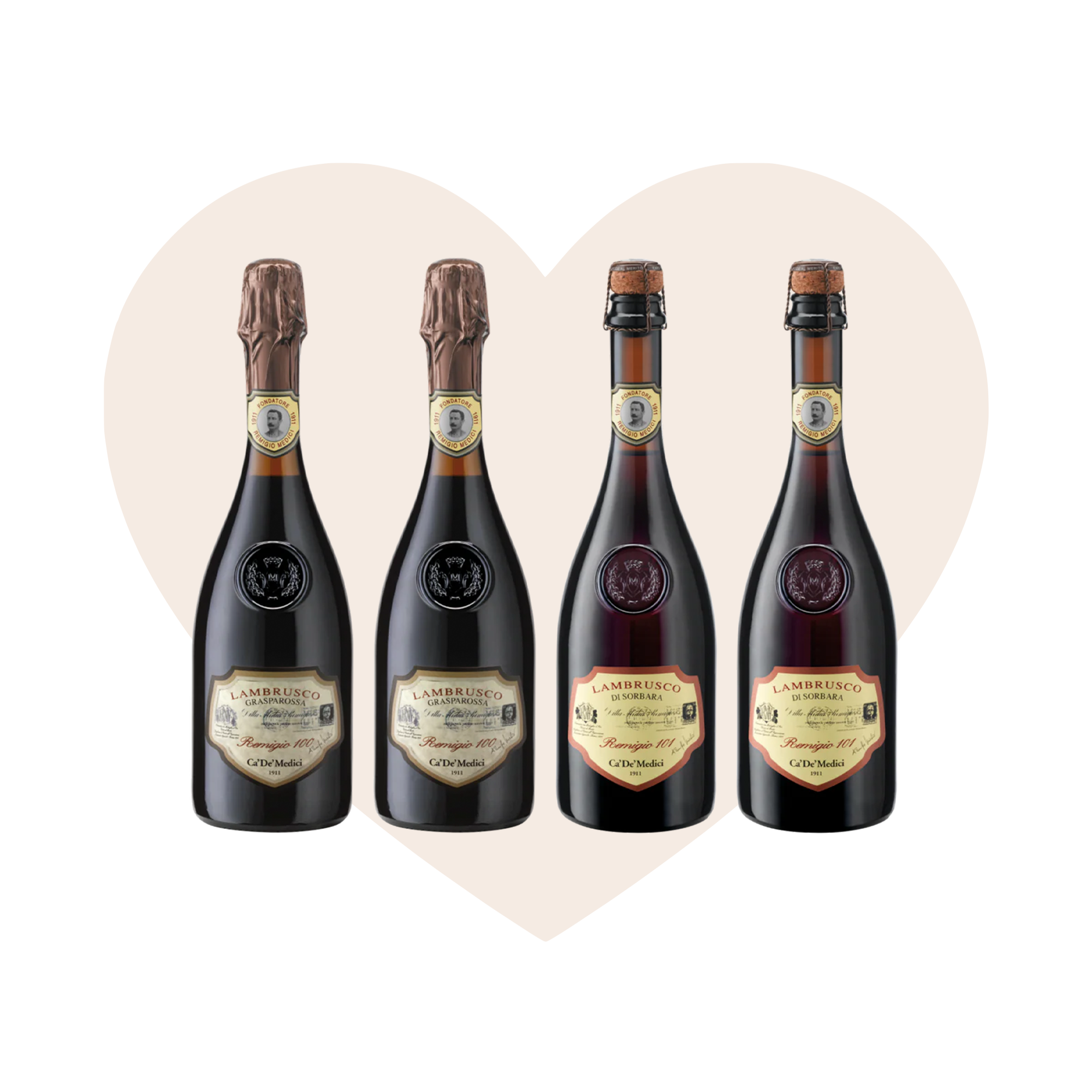 Valentine's Mixed Case