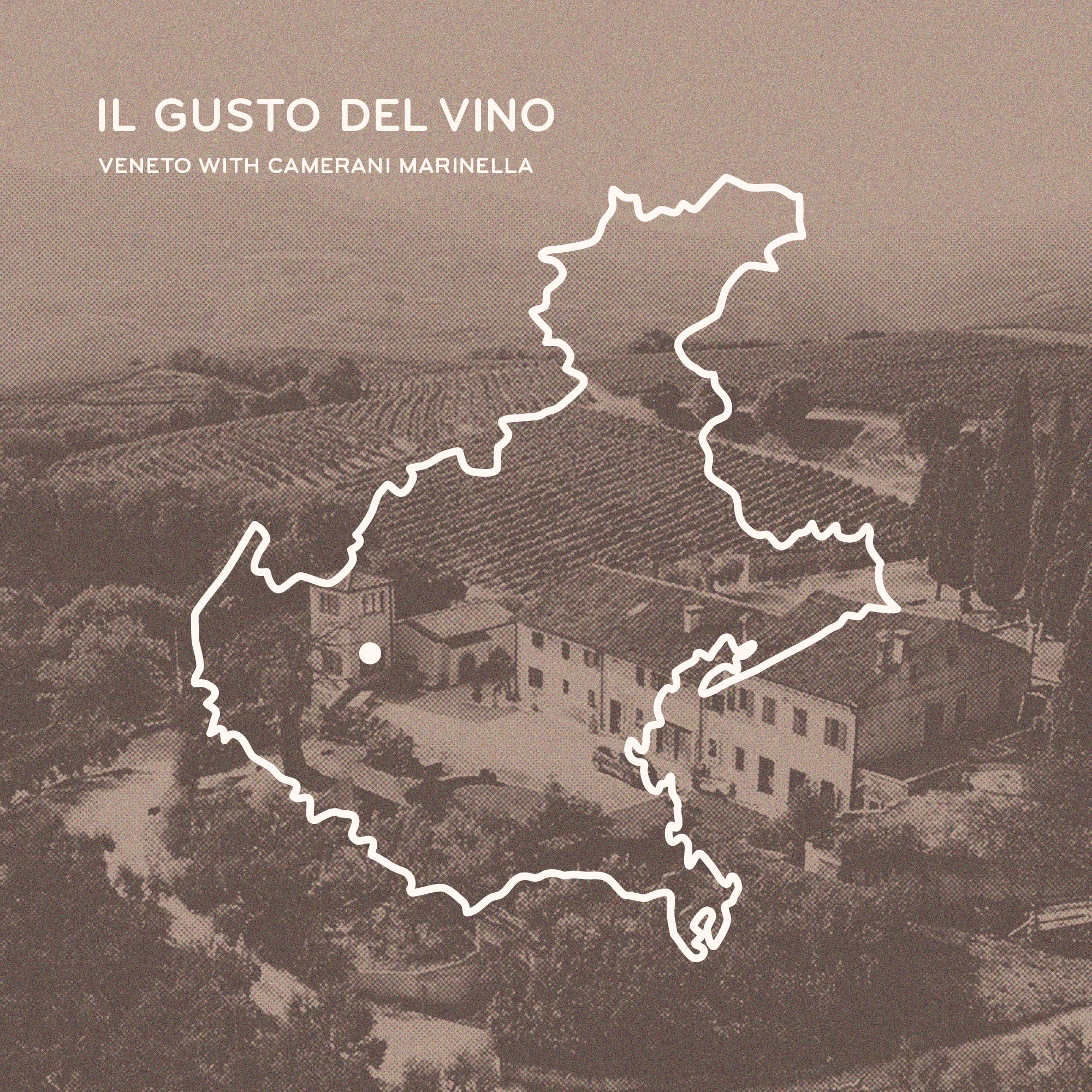 Ticket for Il Gusto Del Vino: Veneto with Azienda Agricola Camerani